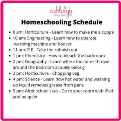 Tongue-in-cheek homeschooling schedule
